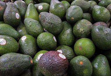 Avocados from Mexico on sale in US supermarket MUST CREDIT Scott Habermann - Adobe Stock