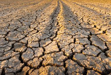 Drought