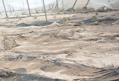 Almeria storms Coag Almería