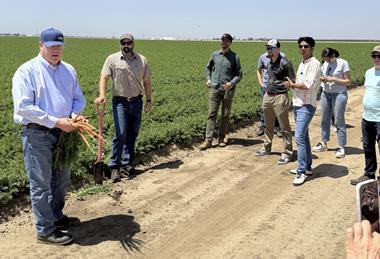 IFPA packaging cohort 2025