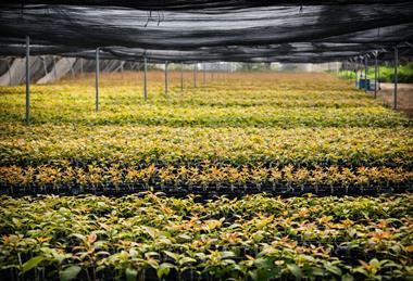 ropic  Rahan facility in The Philippines 2