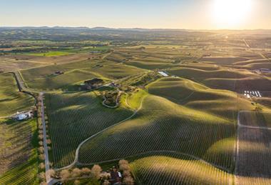 Limoneira Windfall Farms Paso Robles copyright Sothebys
