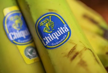 Chiquita Rainforest Alliance bananas Adobe Stock 422057620