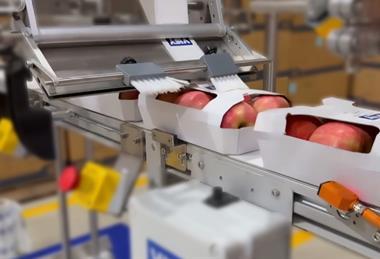 Visy - Enviropunnet labelling system