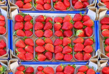 The promotion is also hoped to reduce the risk of food waste