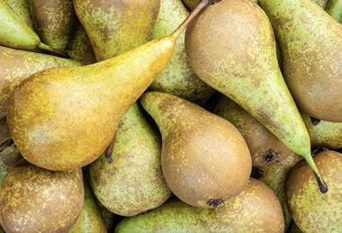 Pears closeup