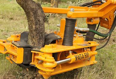 Chile nuts mechanisation maga-blog