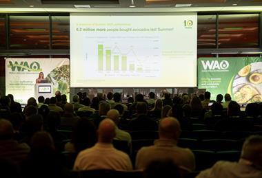 World Avocado Organisation FL 2026 presentation Shelly Vorster