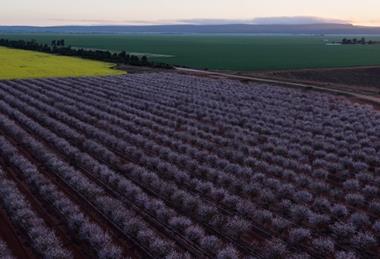 almabin_1504730162_9