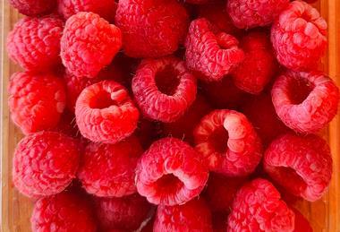 himbeeren bulgarien - ralf petrov
