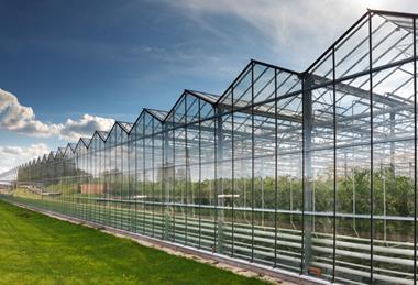 The work will improve the potential of glasshouse lighting