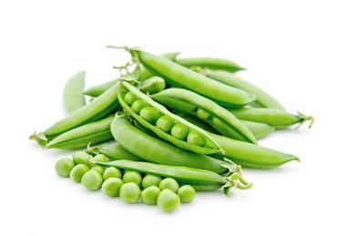 The conference will tackle the big issues facing the trade