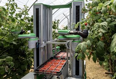 Fieldwork Robotics raspberry harvesting