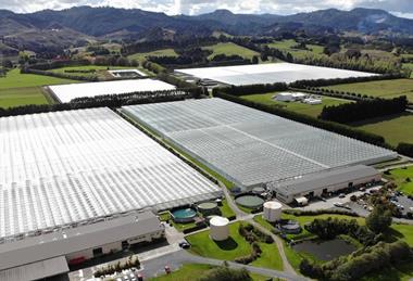 SPL glasshouses