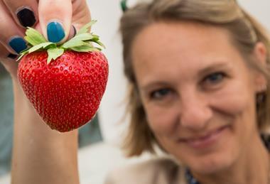 Driscoll's Zara are sold as a premium strawberry in Waitrose