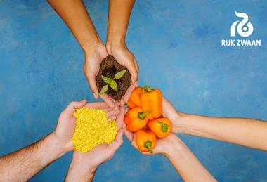 Rijk Zwaan is a global leader in vegetable breeding