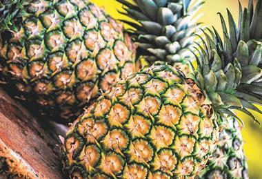 pineapple