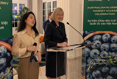 Berries Australia Vietnam launch