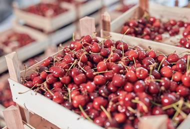 Fresh cherries in wooden crates Adobe Stock
