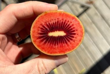 Zespri Red80 sliced open