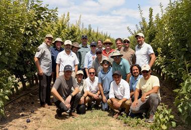 BabyPlum Club growers