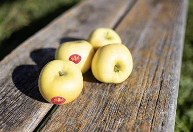 Yello apples MUST CREDIT Armin Huber