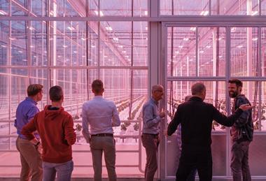 Rijk Zwaan De Hybride Phase 2 opening De Lier