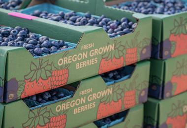 Organic Oregon Blueberries USA MUST CREDIT mdurson - Adobe Stock