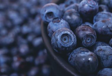 Blueberries bowl closeup Adobe