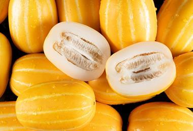 Korean Oriental melon Adobe Stock