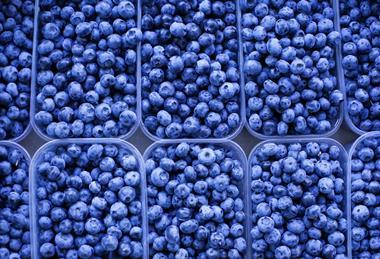 Blueberries in plastic containers top down view Adobe Stock