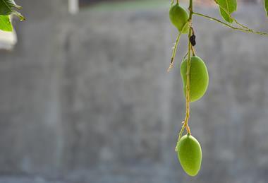 AdobeStock_2209958380