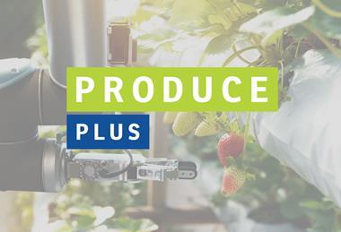 Robotic strawberry harvester Adobe Stock