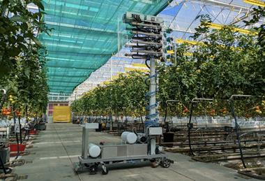 Biobest Polly tomato pollination