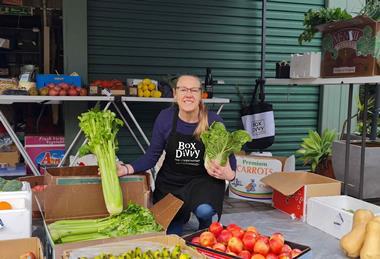 Box Divvy Hubster Vanessa with FV boxes