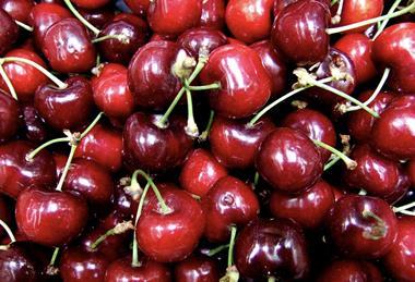 Generic cherries closeup Adobe Stock