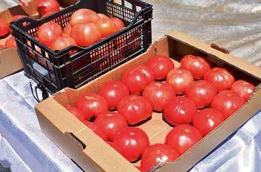 Bulgarien_tomaten.jpg