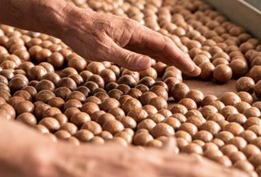 Credit - Australian Macadamia Society