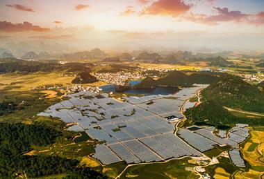 Imberri-Noposion Yunnan blueberry base