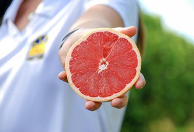 IMG Citrus Fair Trade Certified Florida grapefruit