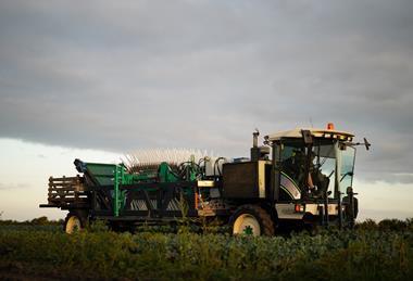 UPP plans to expand its tech to cabbage and lettuce