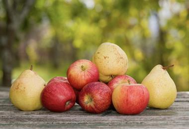 Apples and pears stacked on wooden table Adobe Stock