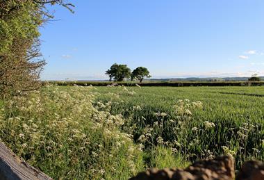 Farmers will have more tools to analyse their land