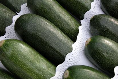 Spanien Zucchini - W. Schmidt