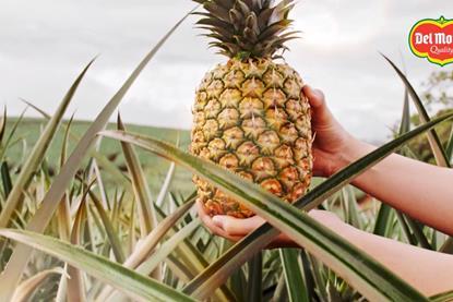 Del Monte Honeyglow pineapple