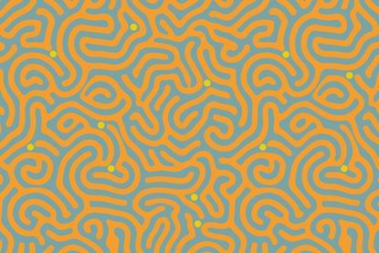 NGTs maze