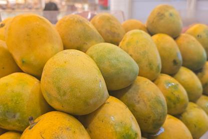 Indian mangoes