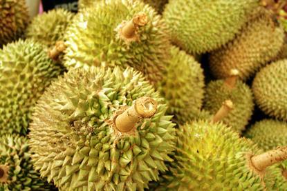 durian malaysia GEN