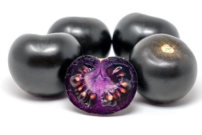 thumbnail_PurpleTomato
