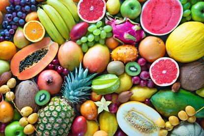 diverse Exoten-Alexander Raths_AdobeStock_212474255